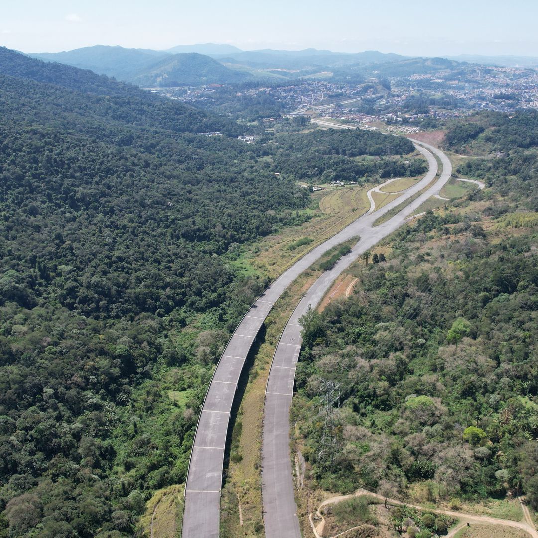 Estudo para Avaliação da Biodiversidade na Área da Concessão Via SP Serra